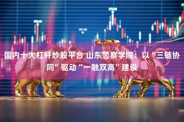 国内十大杠杆炒股平台 山东警察学院：以“三链协同”驱动“一融双高”建设